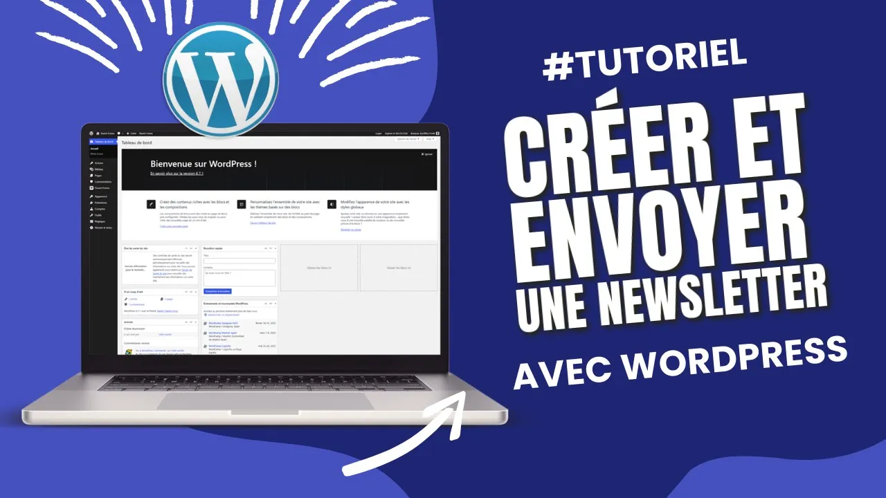 Comment CRÉER et ENVOYER une Newsletter avec WordPress